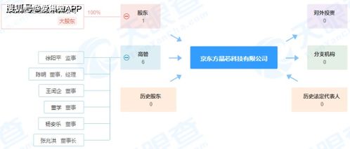 注冊(cè)資本9.5億元，京東方成立晶芯科技公司，深化布局物聯(lián)網(wǎng)技術(shù)服務(wù)